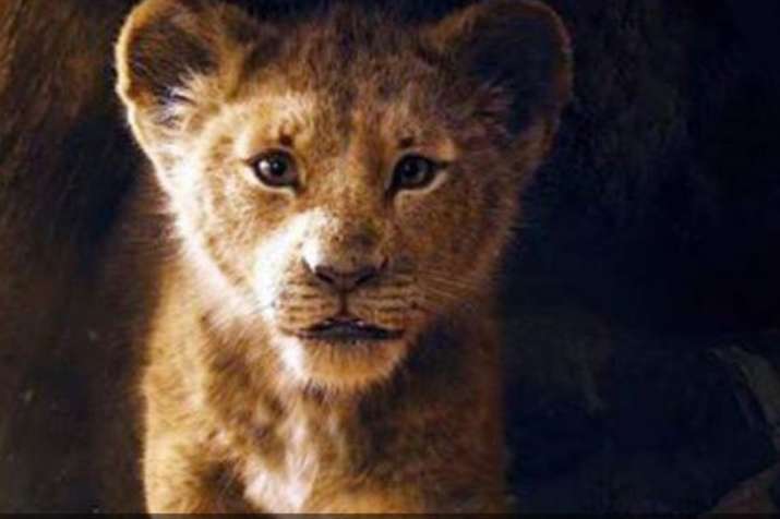 The Lion King The Lion King- India TV
