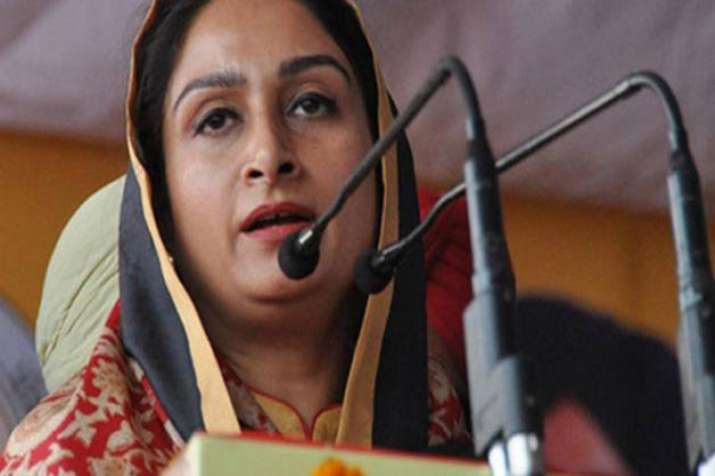 Do not use religion, Kartarpur Sahib to fulfil your evil designs, Harsimrat Badal warns Pakistan Do not use religion, Kartarpur Sahib to fulfil your evil designs, Harsimrat Badal warns Pakistan- India TV
