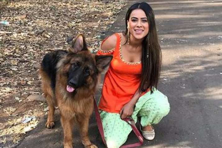 Nia Sharma Nia Sharma- India TV