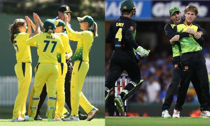 Australia Women's and Men's cricket team Australia Women's and Men's cricket team- India TV