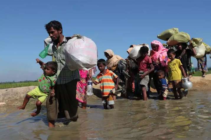 Rohingya refugee flees camps to avoid return to Myanmar Rohingya refugee flees camps to avoid return to Myanmar - India TV