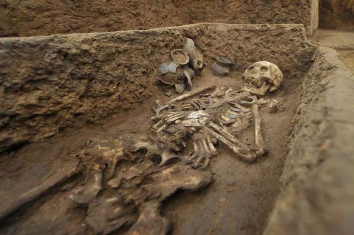 Huge quantity of human skeletal remains found at Bihar railway station Huge quantity of human skeletal remains found at Bihar railway station- India TV