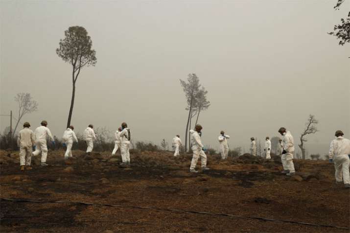 California Fire California Fire- India TV