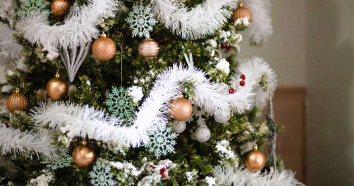 Christmas tree Christmas tree- India TV