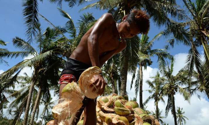 coconut growers coconut growers- India TV Paisa