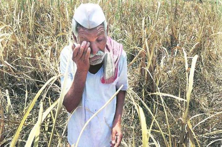 Prakash Javdekar's statement on farm loan waiver Prakash Javdekar's statement on farm loan waiver - India TV