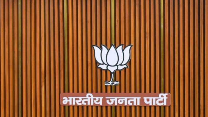 BJP's strength and weakness states in 2014 Lok Sabha Elections BJP's strength and weakness states in 2014 Lok Sabha Elections- India TV