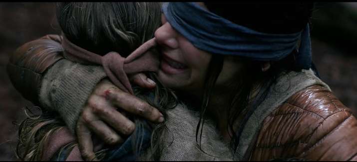 bird box bird box- India TV