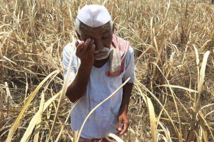 Representational pic Representational pic- India TV