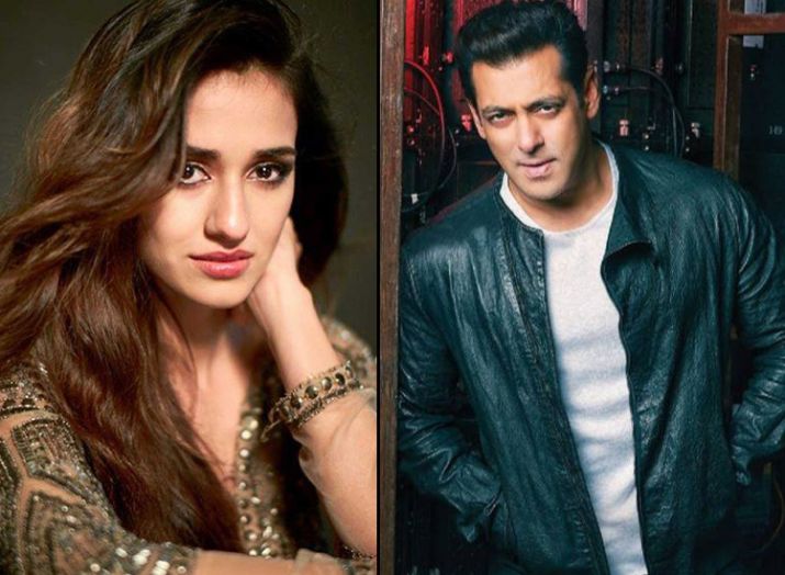 Disha Patani may be seen in Salman Khan's Kick Sequel Disha Patani may be seen in Salman Khan's Kick Sequel- India TV