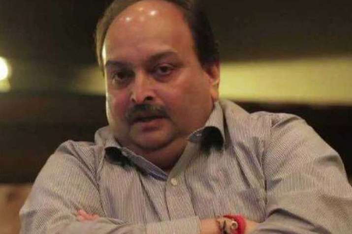 PNB Scam: Absconding Mehul Choksi Surrenders Indian Citizenship | PTI File PNB Scam: Absconding Mehul Choksi Surrenders Indian Citizenship | PTI File- India TV