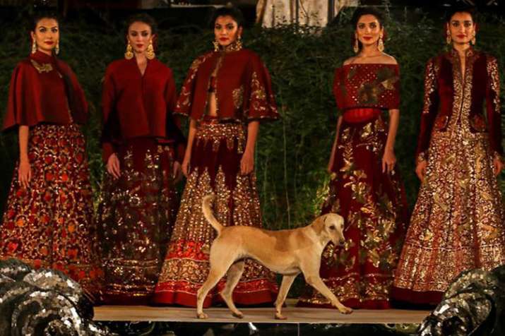 Rohit Bal Fahion Show Rohit Bal Fahion Show- India TV