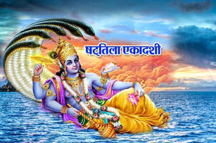 shattila ekadashi shattila ekadashi - India TV