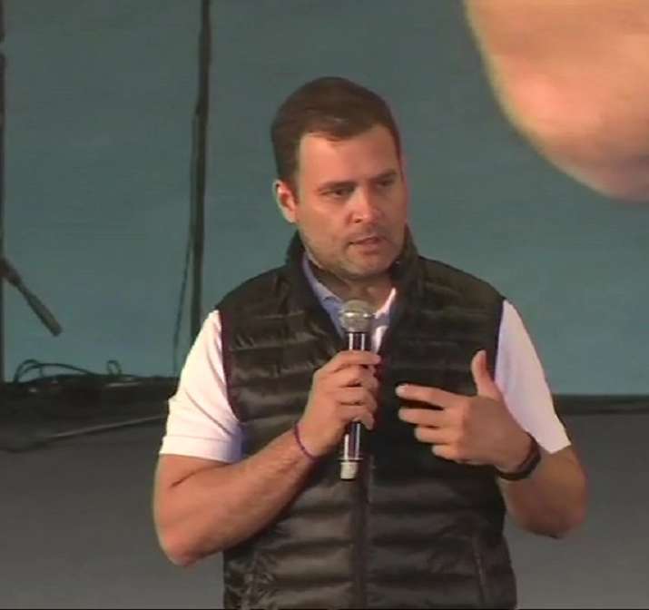 Congress president Rahul Gandhi Congress president Rahul Gandhi- India TV