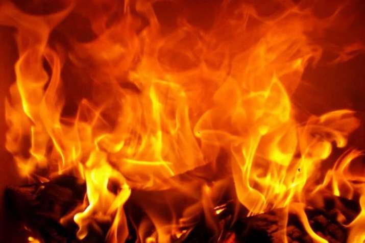 MNS burns packets of 'Pakistani' spices in Navi Mumbai MNS burns packets of 'Pakistani' spices in Navi Mumbai- India TV