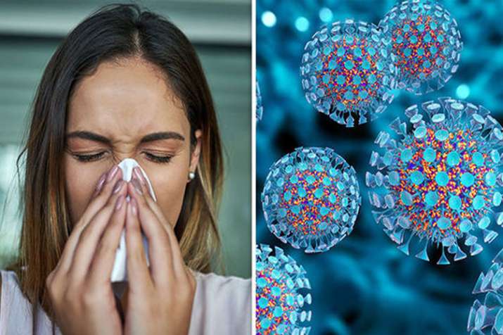 swine flu swine flu- India TV