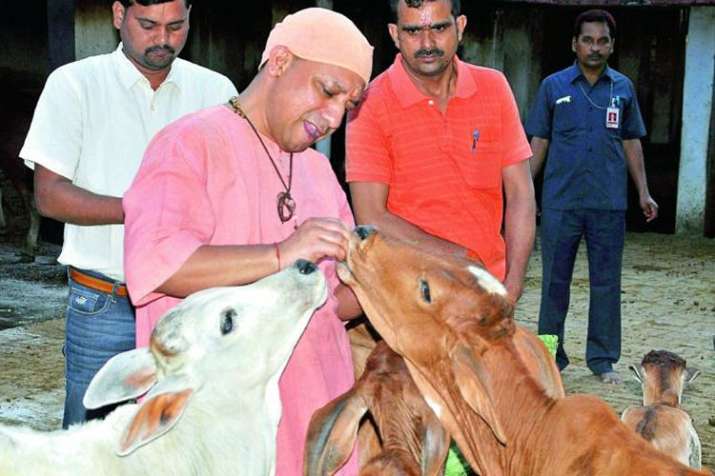 UP CM Yogi Adityanath | PTI File Photo UP CM Yogi Adityanath | PTI File Photo- India TV
