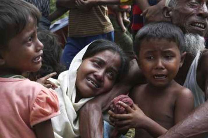 Rohingya crisis: Bangladesh says it will not accept any more refugees from Myanmar | AP File Rohingya crisis: Bangladesh says it will not accept any more refugees from Myanmar | AP File- India TV