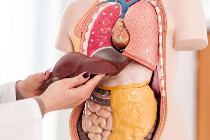 Liver Liver - India TV