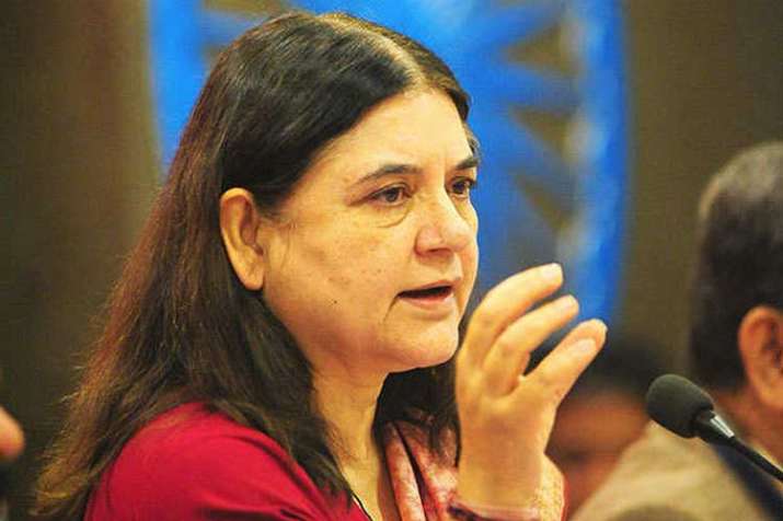 maneka gandhi maneka gandhi- India TV