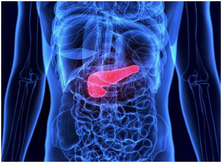 pancreatic cancer pancreatic cancer- India TV