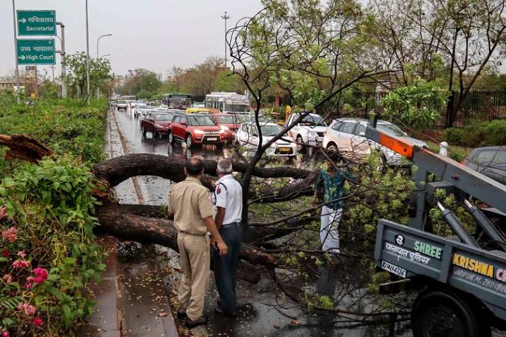 Police personnel look on as people remove a fallen tree... Police personnel look on as people remove a fallen tree...- India TV