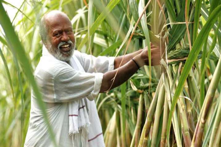 Representational pic Representational pic- India TV Paisa
