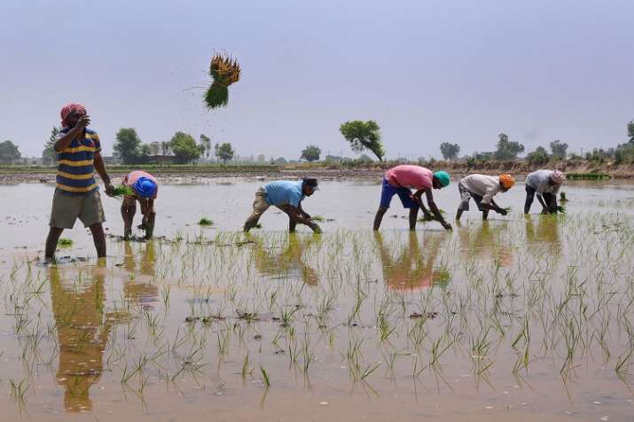 farmers farmers- India TV