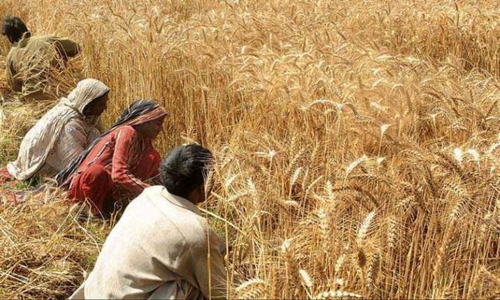 Farmers can now form cooperatives Farmers can now form cooperatives- India TV Paisa