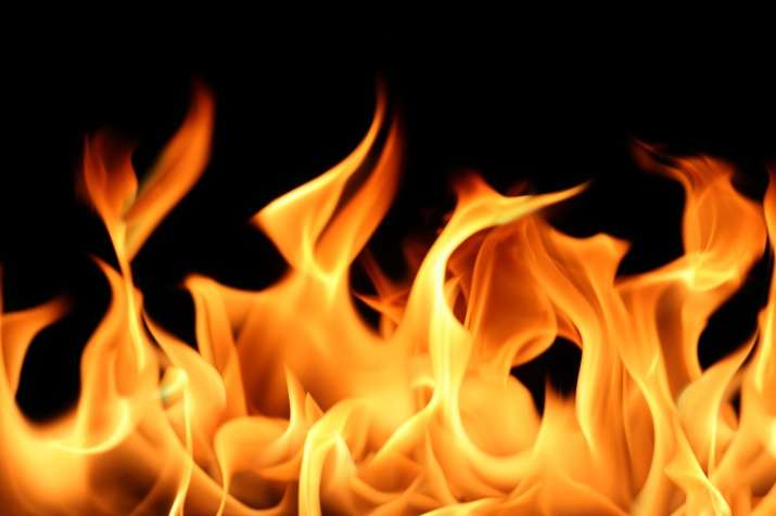 fire in noida authority office required documents Burn fire in noida authority office required documents Burn - India TV