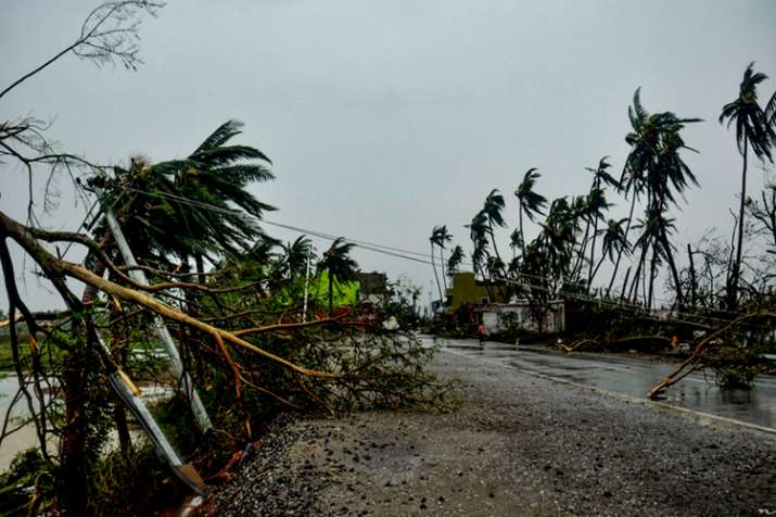 How to survive in cyclone? How to survive in cyclone?- India TV