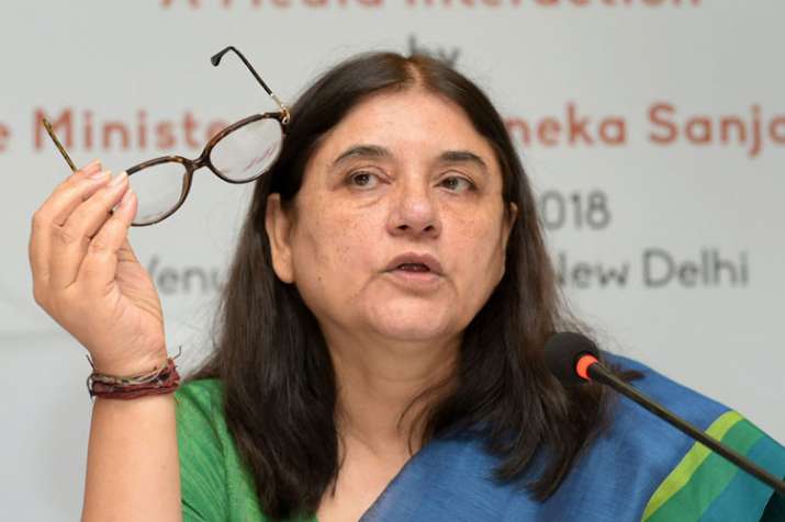 Maneka Gandhi visits Sultanpur, says people will answer why she was dropped from cabinet | PTI File Maneka Gandhi visits Sultanpur, says people will answer why she was dropped from cabinet | PTI File- India TV