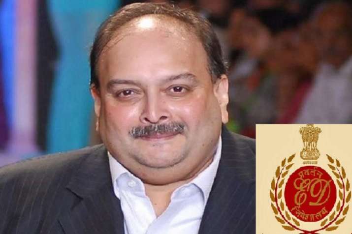 enforcement directorate ed tells bombay high court it will provide air ambulance with medical expert enforcement directorate ed tells bombay high court it will provide air ambulance with medical expert- India TV Paisa