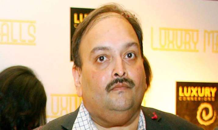 Mehul Choksi running out of options Mehul Choksi running out of options- India TV Paisa