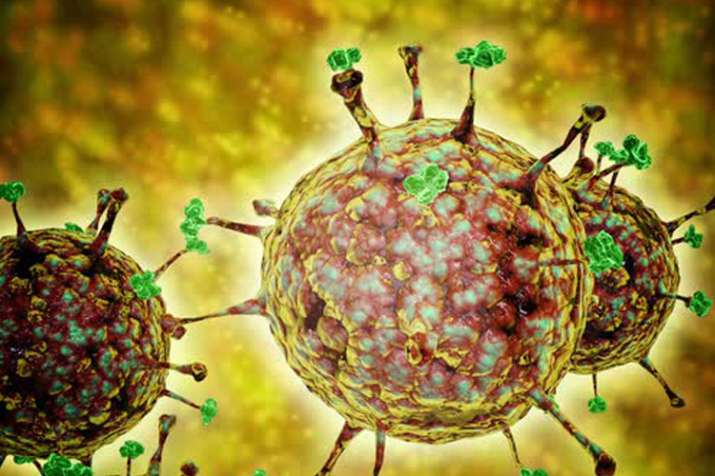 Nipah Virus Nipah Virus- India TV
