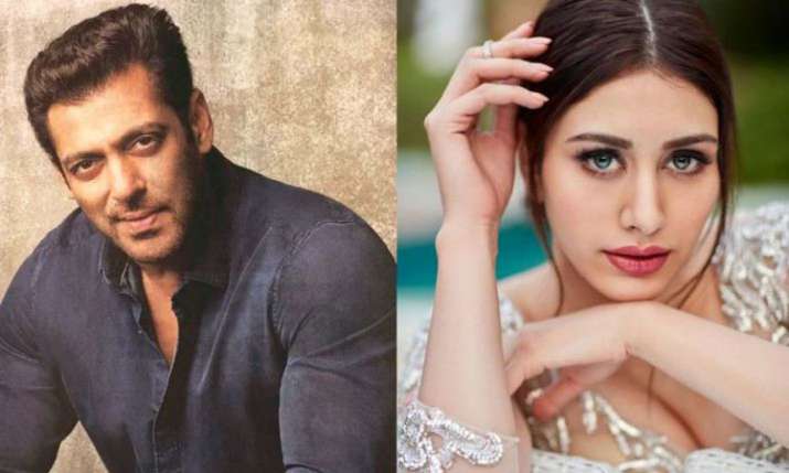 Salman Khan, Warina Hussain Salman Khan, Warina Hussain- India TV