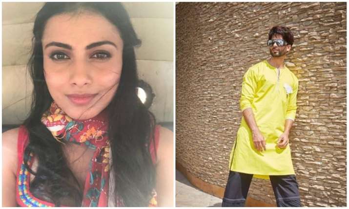 Aanchal chauhan and shahid kapoor Aanchal chauhan and shahid kapoor- India TV