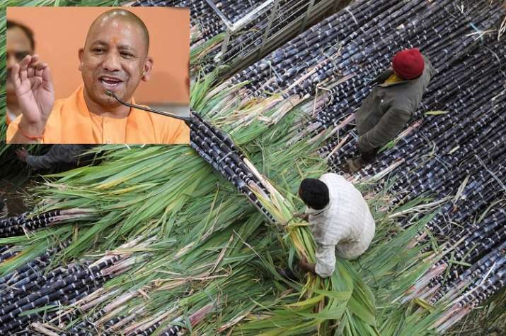 Up CM Yogi Adityanath said sugar Mill owner give full payment of sugarcane price by August Up CM Yogi Adityanath said sugar Mill owner give full payment of sugarcane price by August- India TV Paisa