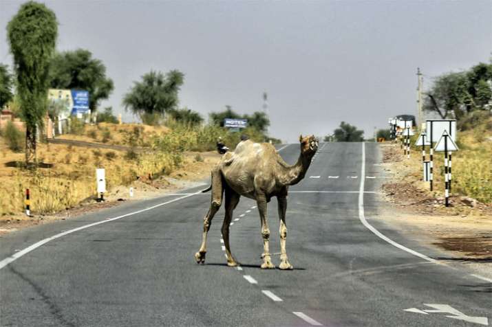 Wait For Monsoon Wait For Monsoon- India TV
