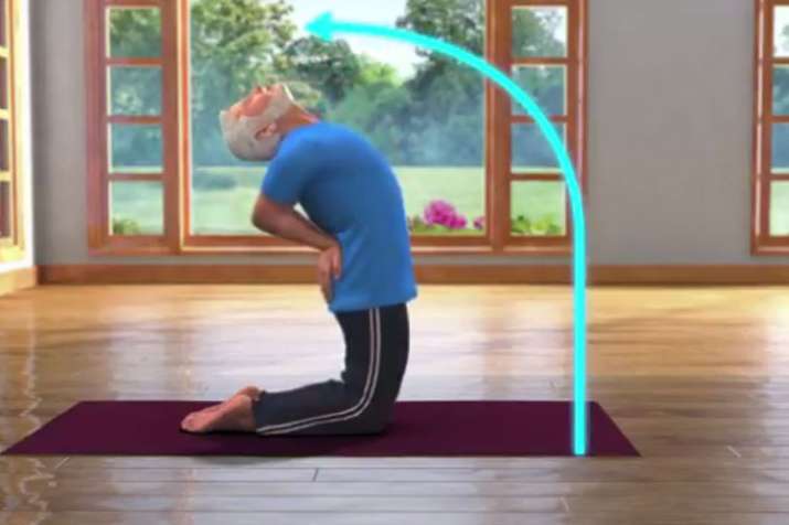 Ushtrasana Ushtrasana- India TV