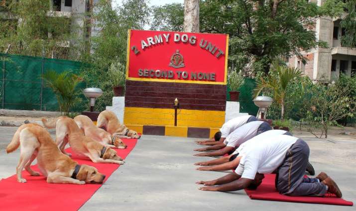 Yoga Day Yoga Day - India TV