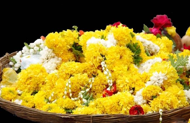 yellow yellow- India TV