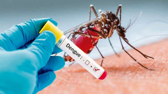 Image result for dengue