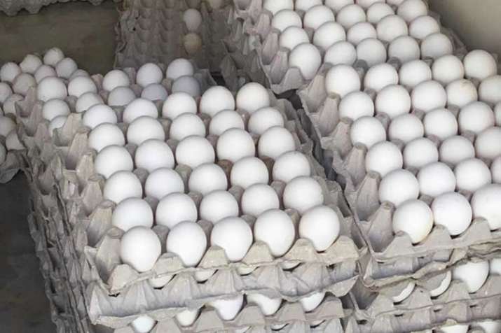 eggs eggs- India TV
