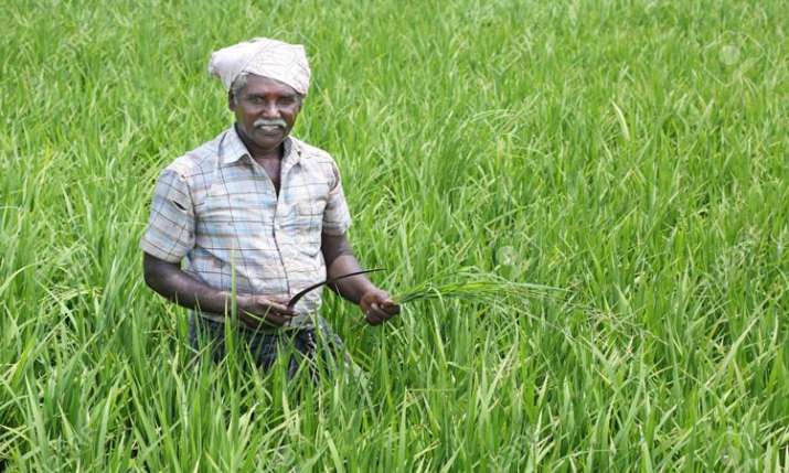 Aam Budget 2019-20 farmers highlights and announcements Aam Budget 2019-20 farmers highlights and announcements- India TV Paisa
