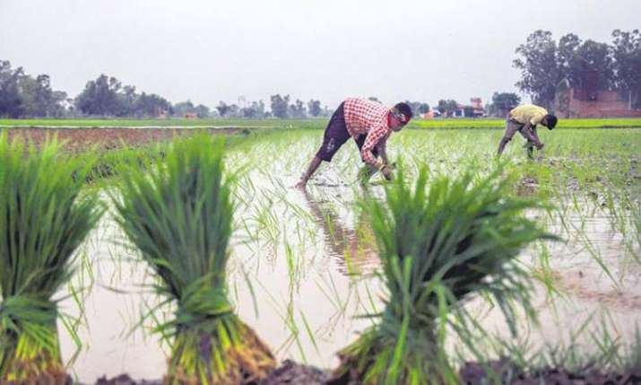 MSP for Kharif crop hiked, MSP for Kharif crop hiked,- India TV Paisa