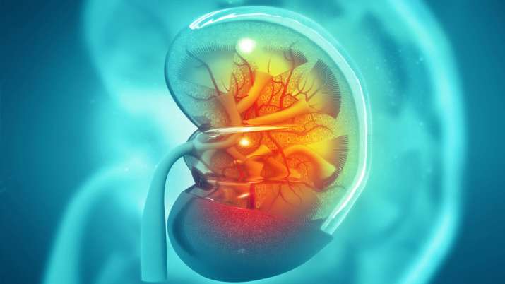 5 Foods to Avoid Kidneys Diseases: 5 Foods to Avoid Kidneys Diseases:- India TV