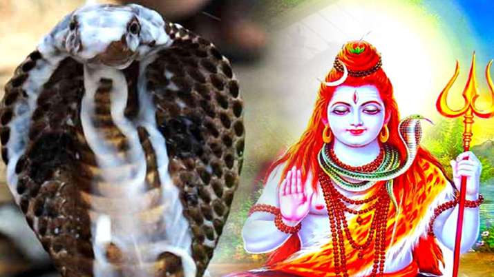 Nag Panchami 2019 Nag Panchami 2019- India TV