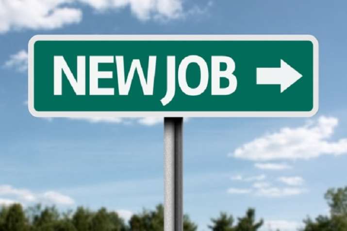Rajasthan Job Rajasthan Job- India TV