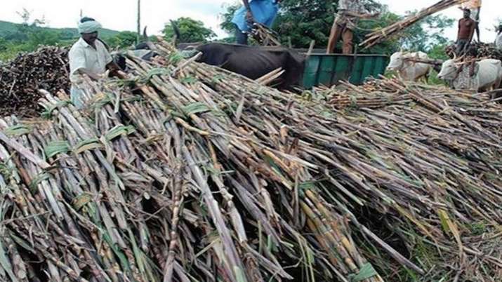 Fair and Remunerative Price of sugarcane Fair and Remunerative Price of sugarcane- India TV Paisa